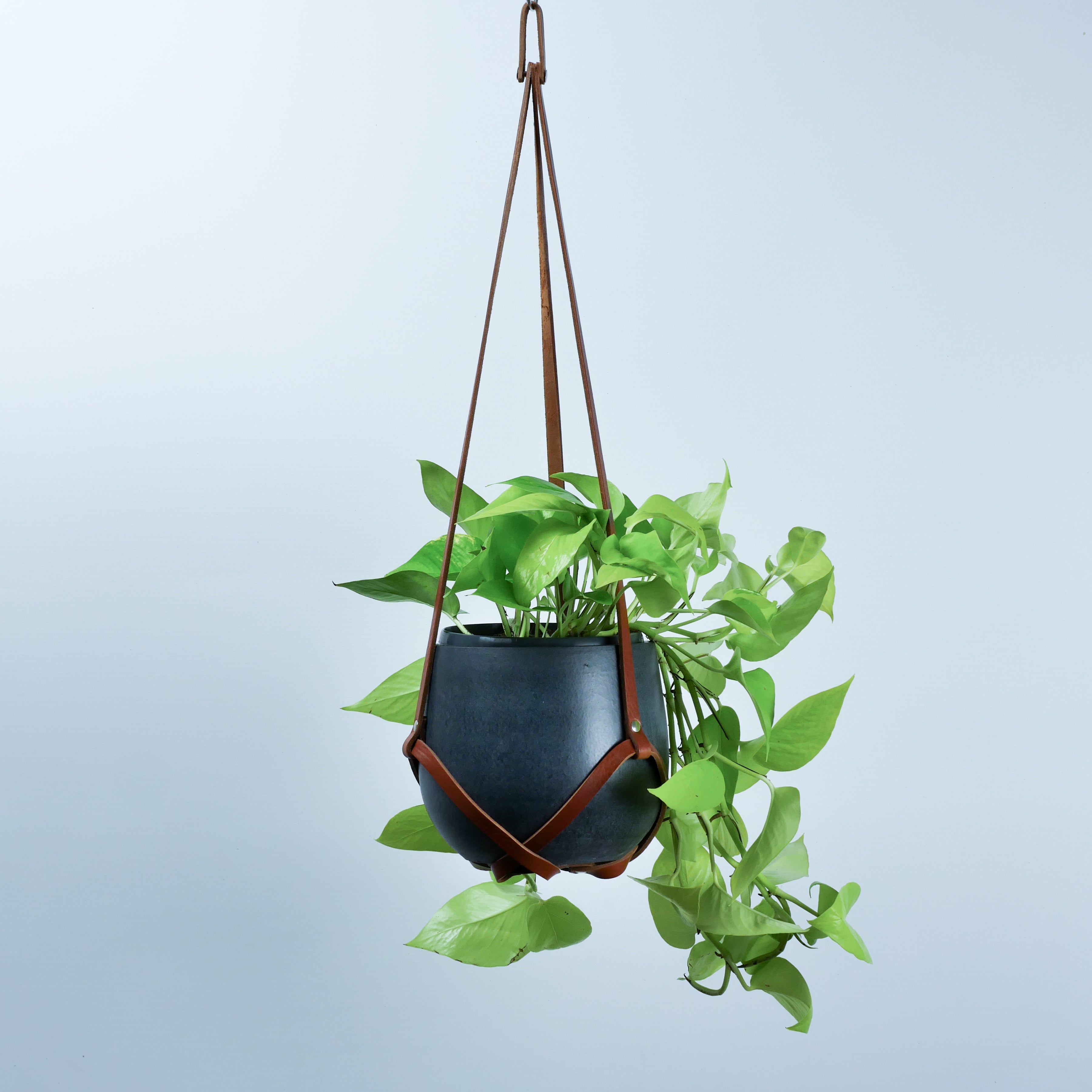 hanging planter leather Tan Leather Plant Hanger